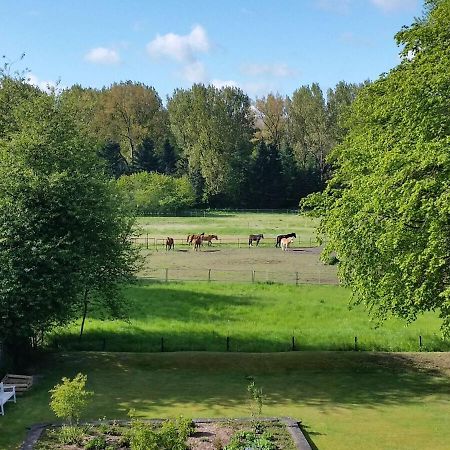 Schwalbennest Leilighet Lübeck Eksteriør bilde